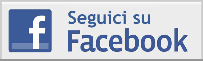 42 42 seguici su facebook logo